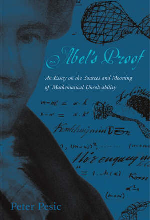 Abel's proof: sources and meaning of mathematical - download pdf or read online