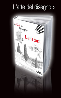 DISEGNO